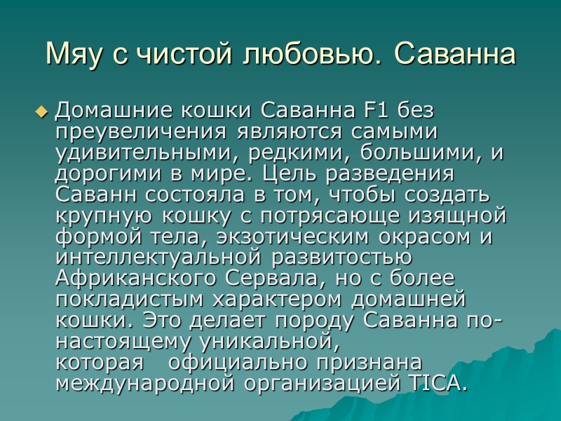 Мяу с чистой любовью. Саванна Домашние кошки Саванна F1 без преувеличения являются самыми удивительными, Мяу с чистой любовью. Саванна Домашние кошки Саванна F1 без преувеличения являются самыми удивительными,